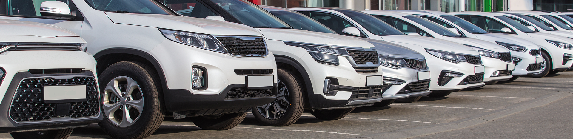 Close-up of white and black SUVs parked side by side under bright daylight.